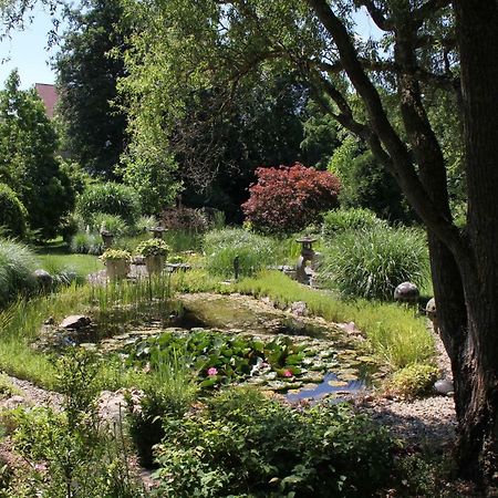 Fewo - Wohlfuehlambiente & Gartenparadies Modautal Εξωτερικό φωτογραφία