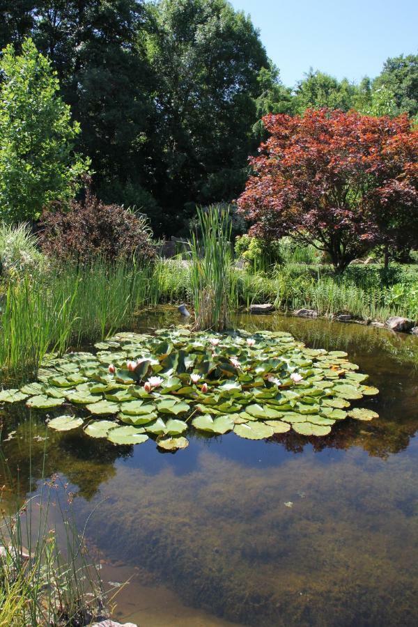 Fewo - Wohlfuehlambiente & Gartenparadies Modautal Εξωτερικό φωτογραφία